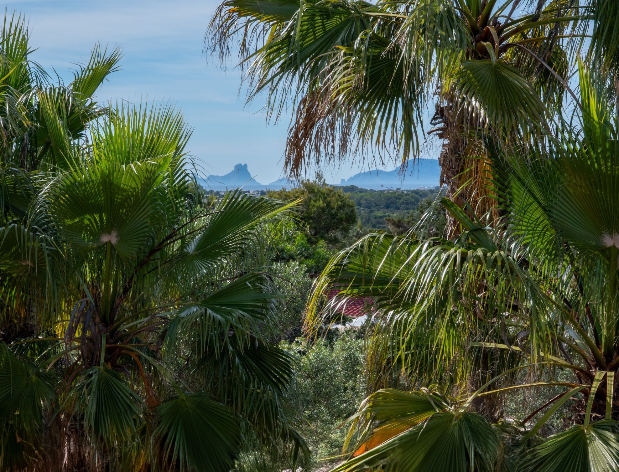 suite-mar-terraza3